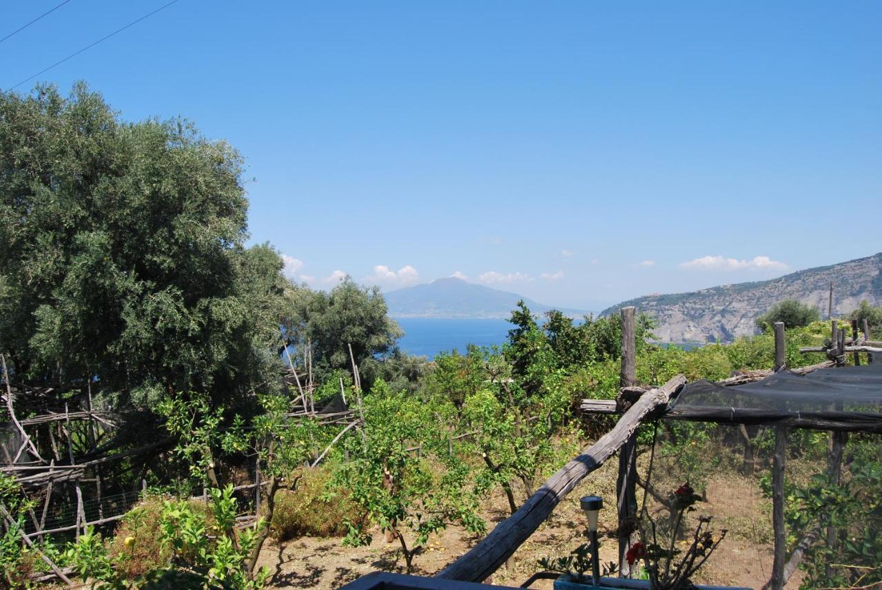 Sorrento Studios Lemons Hill Exteriér fotografie